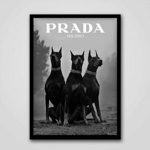 Prada Milano