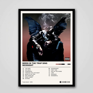TRAVIS SCOTT | BIRDS IN THE TRAP