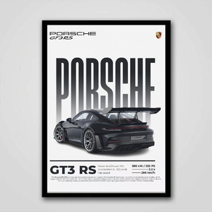 PORSCHE GT3 RS