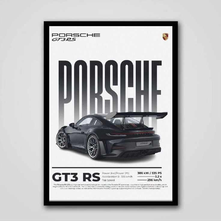 PORSCHE GT3 RS