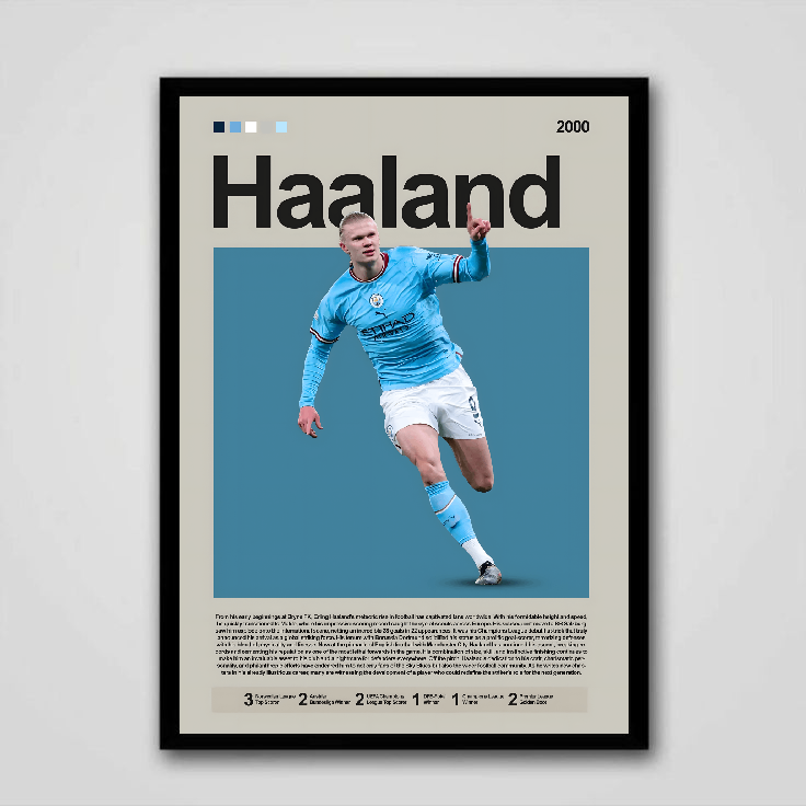 HAALAND