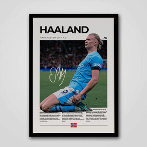 HAALAND