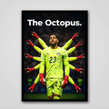 Mostafa Shobir | The Octopus